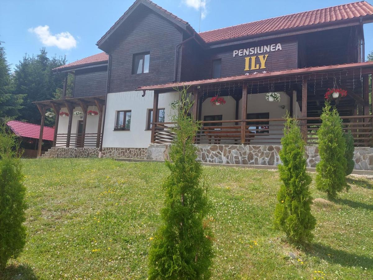 Pensiunea Ily Colibiţa Exterior foto