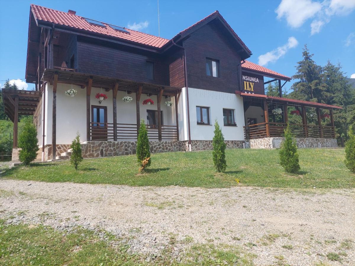 Pensiunea Ily Colibiţa Exterior foto