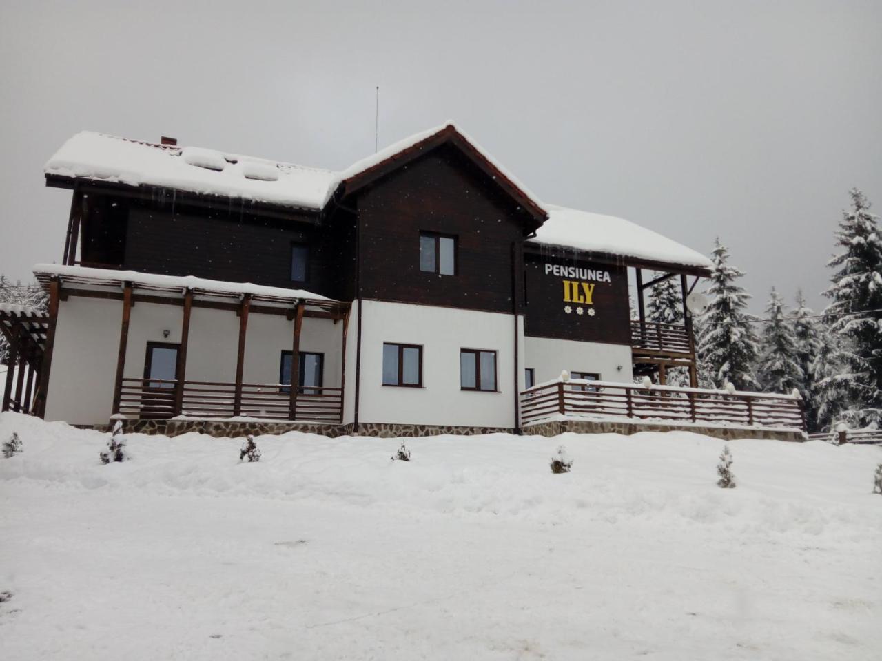 Pensiunea Ily Colibiţa Exterior foto