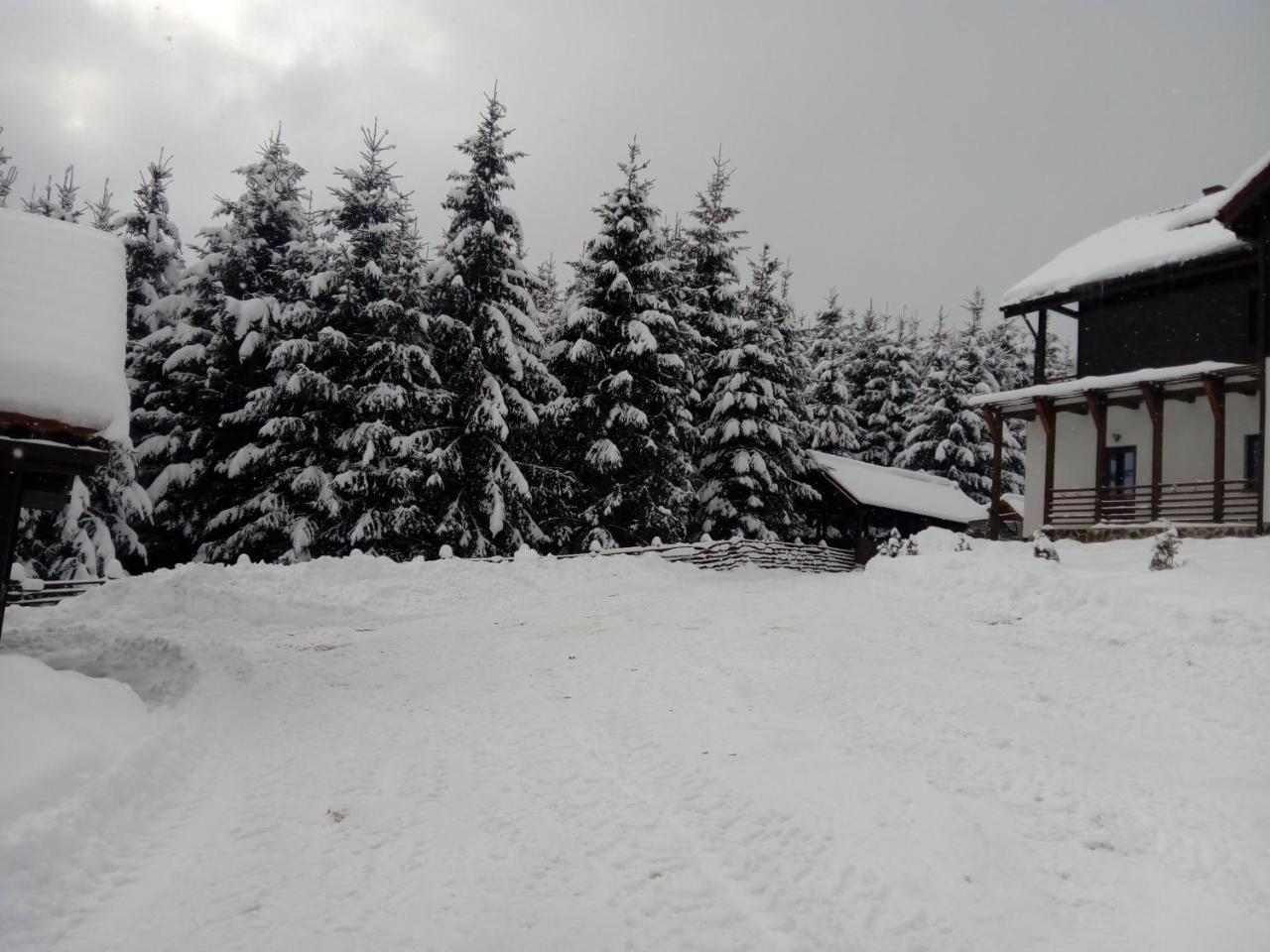 Pensiunea Ily Colibiţa Exterior foto