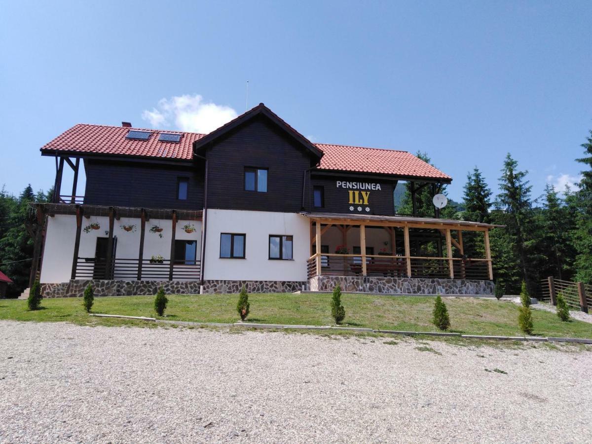 Pensiunea Ily Colibiţa Exterior foto