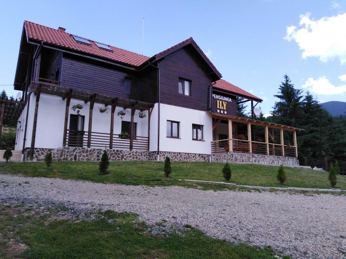 Pensiunea Ily Colibiţa Exterior foto