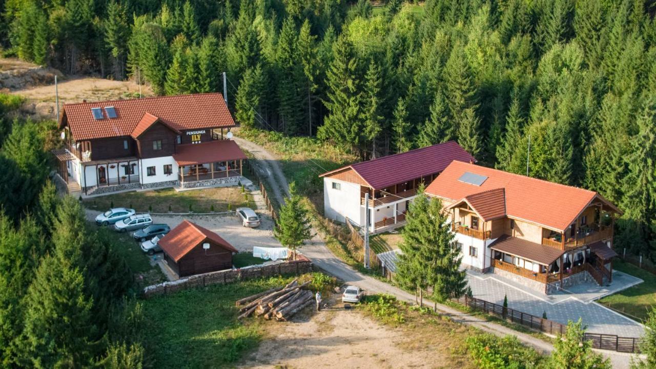 Pensiunea Ily Colibiţa Exterior foto