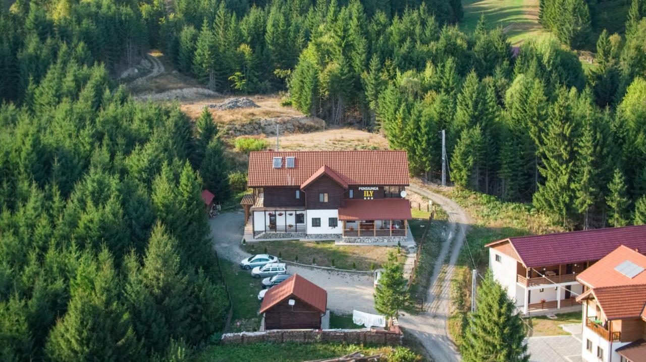 Pensiunea Ily Colibiţa Exterior foto