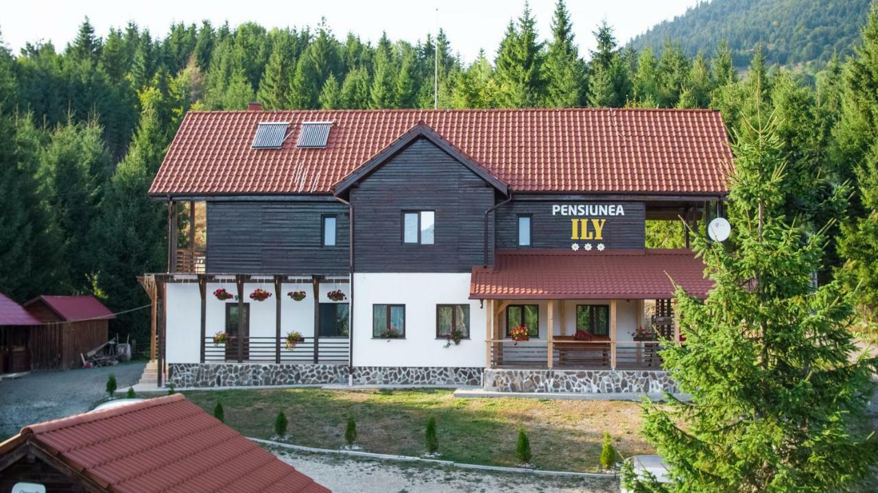 Pensiunea Ily Colibiţa Exterior foto
