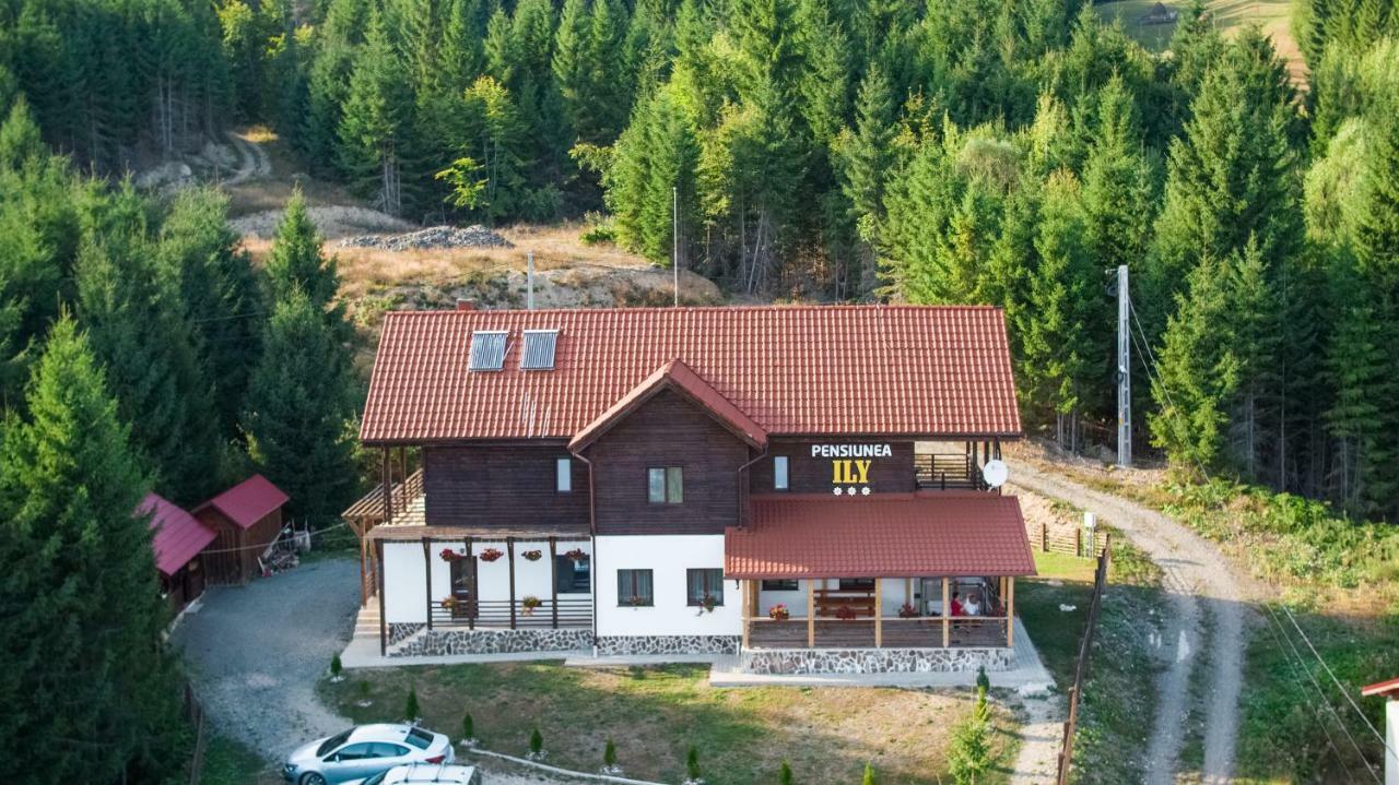 Pensiunea Ily Colibiţa Exterior foto