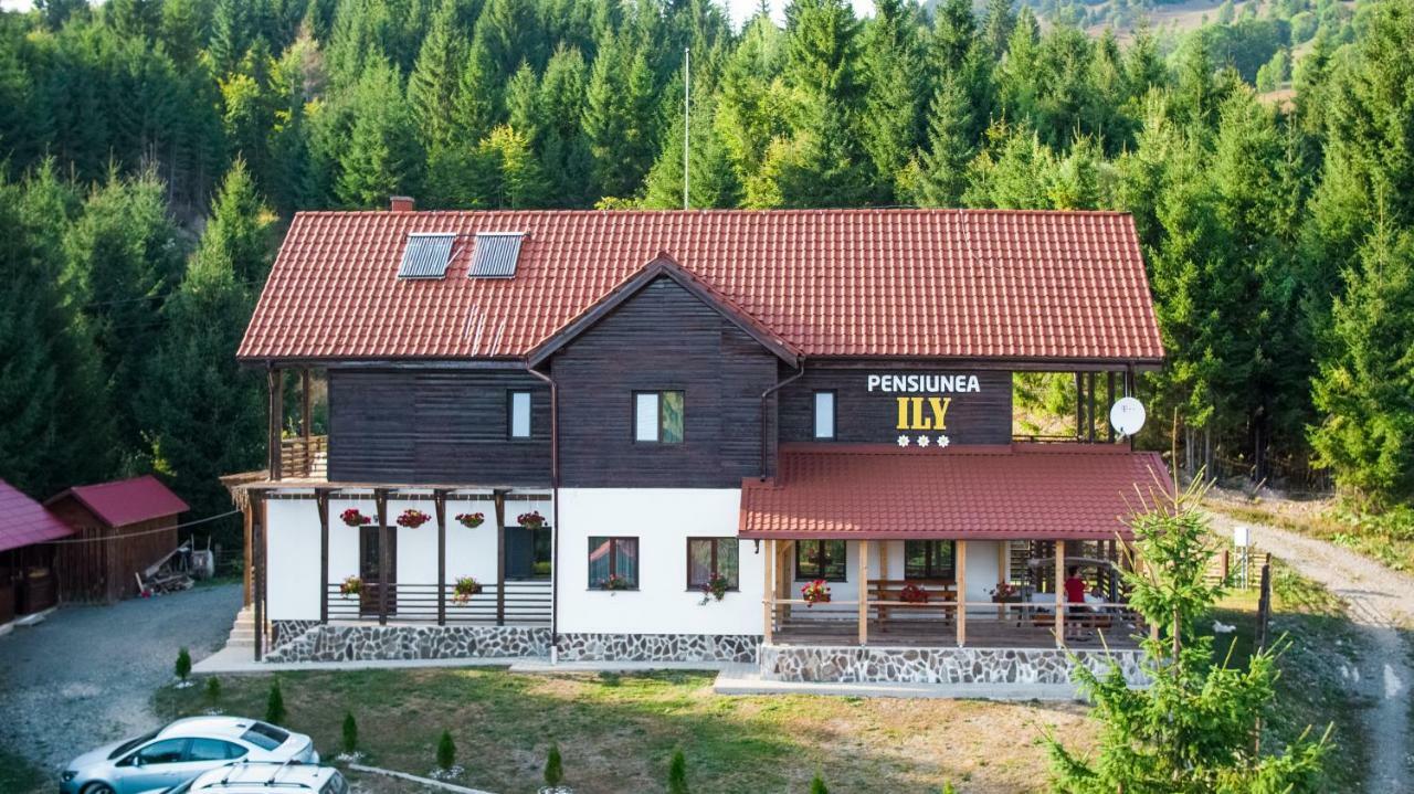 Pensiunea Ily Colibiţa Exterior foto
