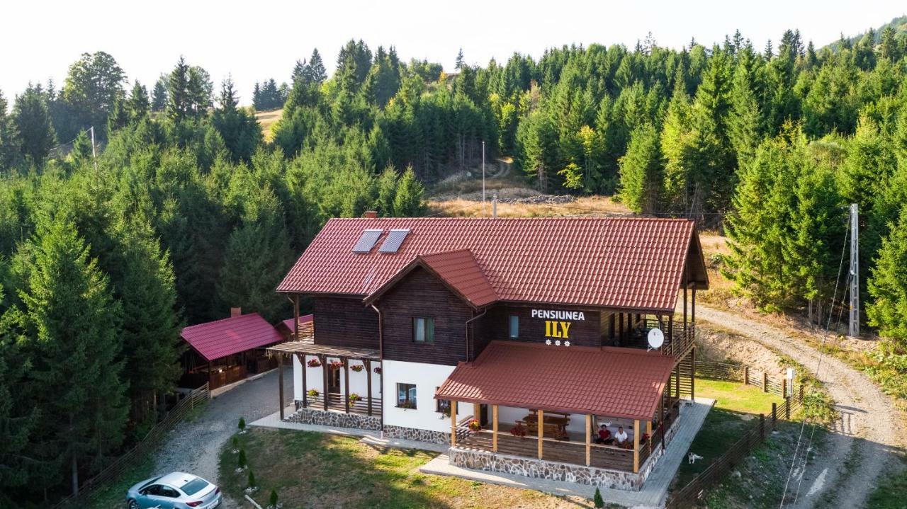 Pensiunea Ily Colibiţa Exterior foto