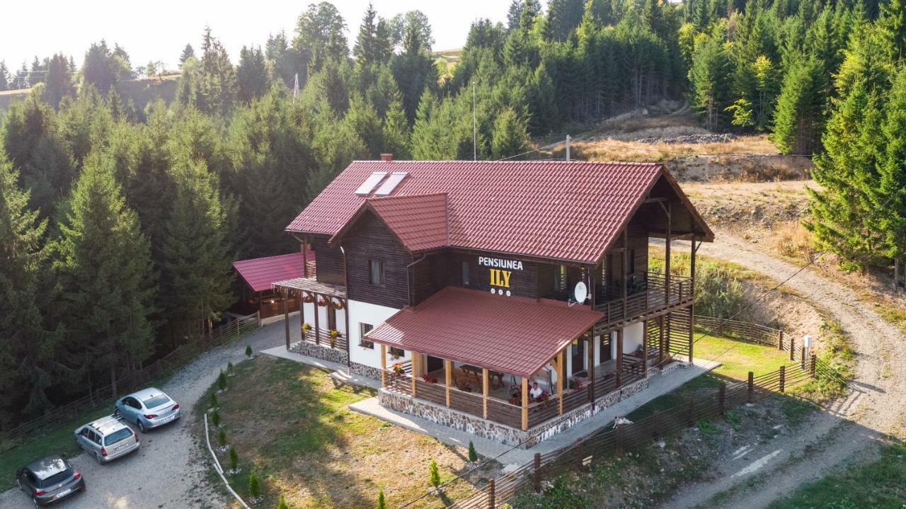 Pensiunea Ily Colibiţa Exterior foto